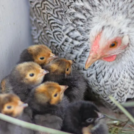 Schoene 90qm Mit Sonnenterrasse Und Aussicht * Trier