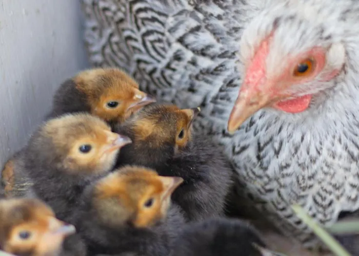Schoene 90qm Mit Sonnenterrasse Und Aussicht * Tréveris