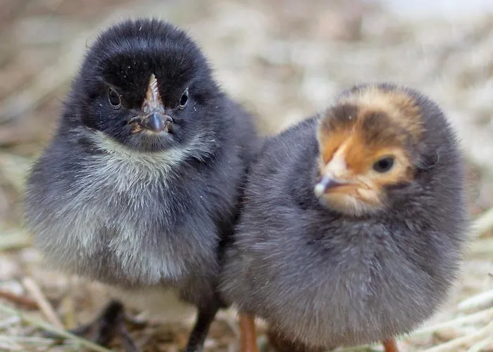 Schoene 90qm Mit Sonnenterrasse Und Aussicht Апартаменты Трир