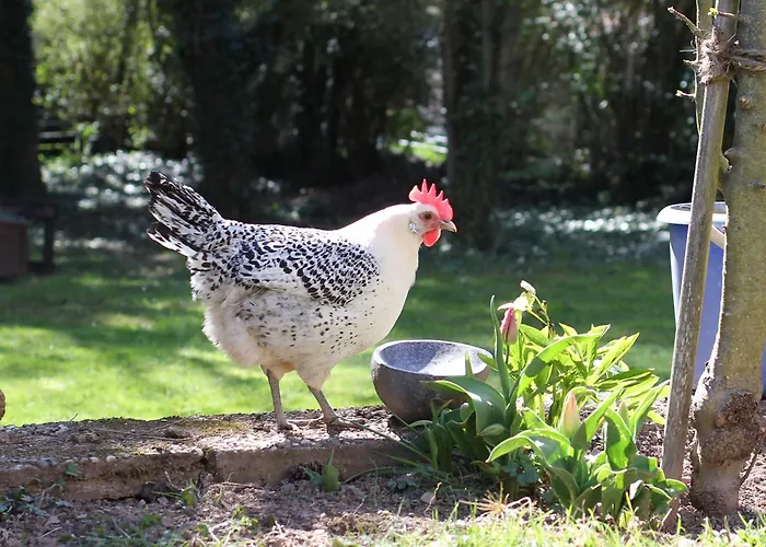 Schoene 90qm Mit Sonnenterrasse Und Aussicht * Tréveris
